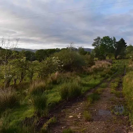 Eanymore Farm 도니골