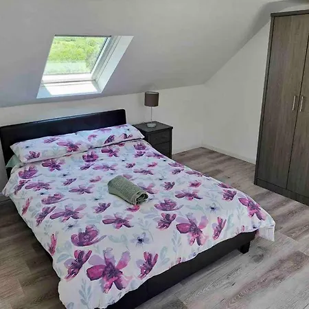 Eanymore Farm 도니골